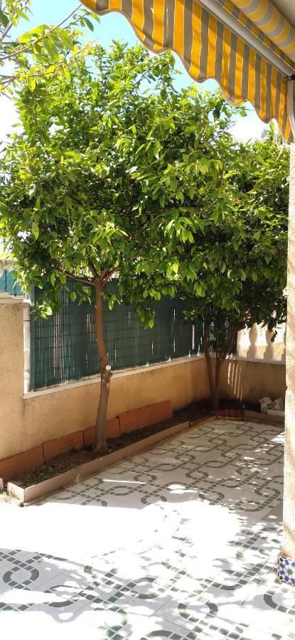 Apartement A La Mata Τορεβιέχα Εξωτερικό φωτογραφία