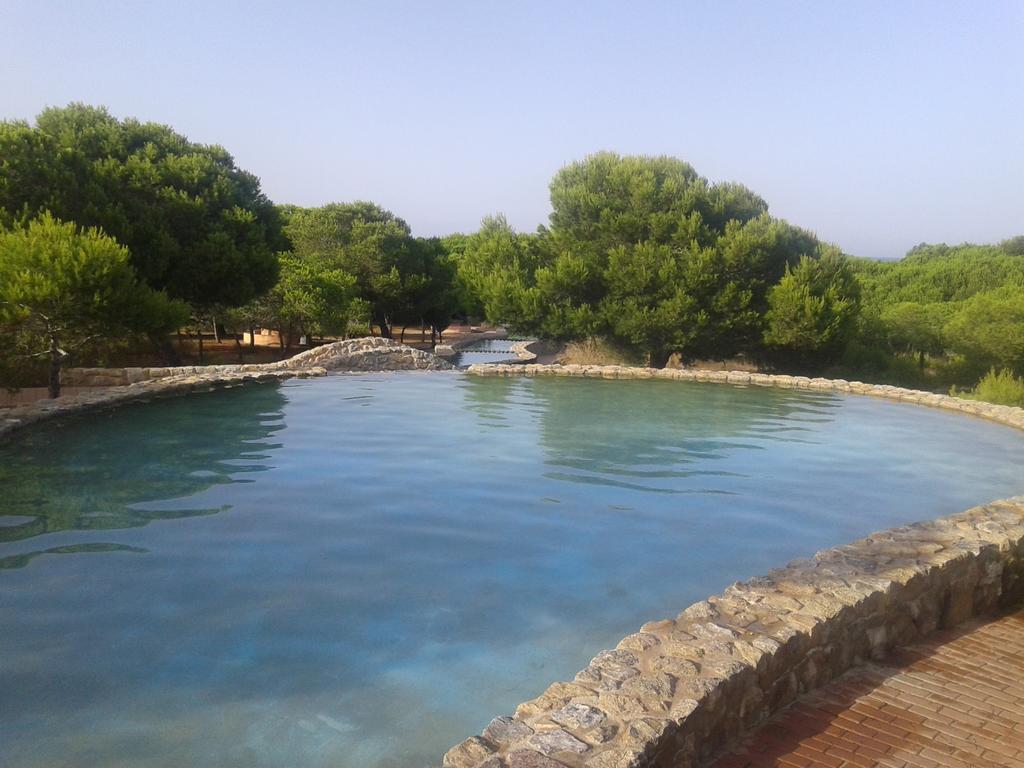 Apartement A La Mata Τορεβιέχα Εξωτερικό φωτογραφία