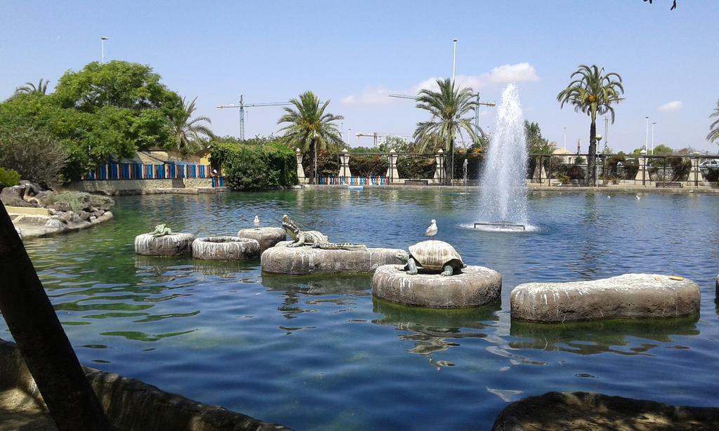 Apartement A La Mata Τορεβιέχα Εξωτερικό φωτογραφία