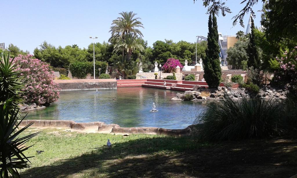 Apartement A La Mata Τορεβιέχα Εξωτερικό φωτογραφία